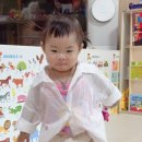 바니세탁소 | 아기 남대문 등 보세 옷 브랜드별 사이즈 후기