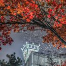 [학점은행제] 결혼과 가족 이미지