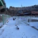 읍내약국 | [반려견 동반] 서울 근교 경기도 파주 반려견 캠핑장 개네집캠핑장