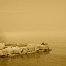 오월약국 이미지