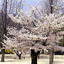 자연동산어린이집 이미지