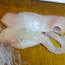 서궁일식 이미지