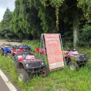 소랑세미 이미지