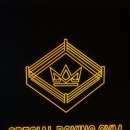 스페셜 복싱짐 이미지