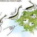 마스터소프트 이미지