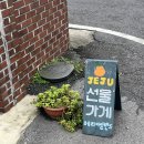 제주 한림 소품샵 메리아일랜드, 금능해수욕장 산책 후기