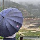 단비의원 이미지