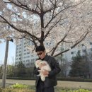 스피로스페로