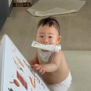 단국대학교치과대학치과병원 | [천안 단국대 치과대학병원] 매복 사랑니 발치 후기 1탄 🦷