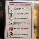 어반플레이스 강남 | 서울 강남 서초 가성비 숙소 어반플레이스 레지던스 호텔 후기