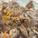 석곡오리촌 이미지