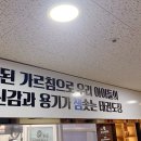용인대 참샘 태권도 이미지