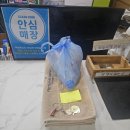 그린 카 서비스 | 한라산 픽업&amp;드랍 숙소 그린게스트하우스 장비대여까지 가능