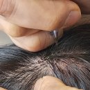 다 채움 이미지