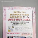 스팀보이게러지 - 화성시 동탄대로14길 5-69 | 평택 세차 / 팽성 스팀세차 스팀보이게러지 팽성점 손세차 후기