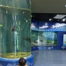 상하수도사업소 생태학습관(야외) 이미지