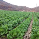 청천농장 이미지