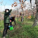 밀양시농업기술센터 이미지