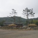 팔옥횟집 네이버블로그
