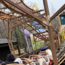 경희대 액티브 태권도 이미지