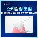 연세남구로치과의원 | 남구로치과 스케일링 보험, 연 1회 혜택 놓치지 말고 구강 건강 지키세요!