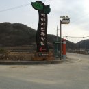 백야리산림욕장 이미지