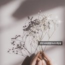 봉봉이네 농장