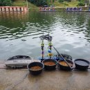 밤밭실내낚시터 이미지