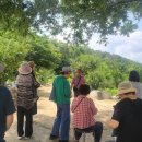 서주길(와룡면) 네이버블로그