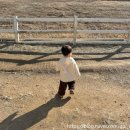 도윤목장 이미지