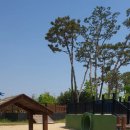 문암생태공원(바베큐장) 이미지