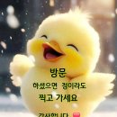 동해-단속-39 이미지