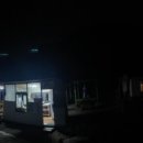 송이 초심정 이미지