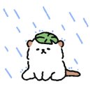카페 고래섬