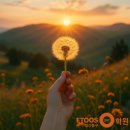 이투스네오일산학원 | 2027 재수조기선발반 모집! 이투스247일산동구