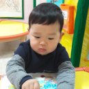 종현농장 이미지