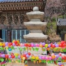 불모산제2주유소 | [경남 창원] 곰 설화가 깃든 사찰 - 불모산 성주사
