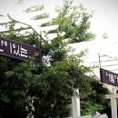 안면도펜션 이미지