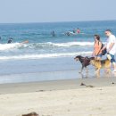 캘리포니아 이미지