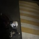 여살여죽녀의 2주 연속 여행 후기 (오사카아니고 오오사카 여행기)