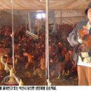 김순덕 농장 이미지