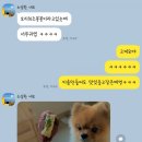 까까멍냐옹 수제간식 네이버블로그