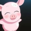 금강회수산 이미지