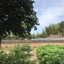 광의초등학교 | [시골길여행] 나주-화순 / 구례-하동 : 여름의 초록빛