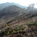 사슴자연방목장 이미지