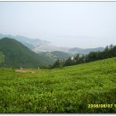 호남여관 이미지