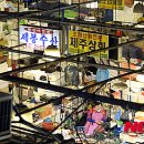새현수산 이미지