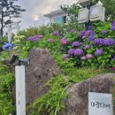 아랑디 애월 이미지