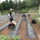 무도1리 마을회관 이미지