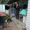 조광동물병원 이미지